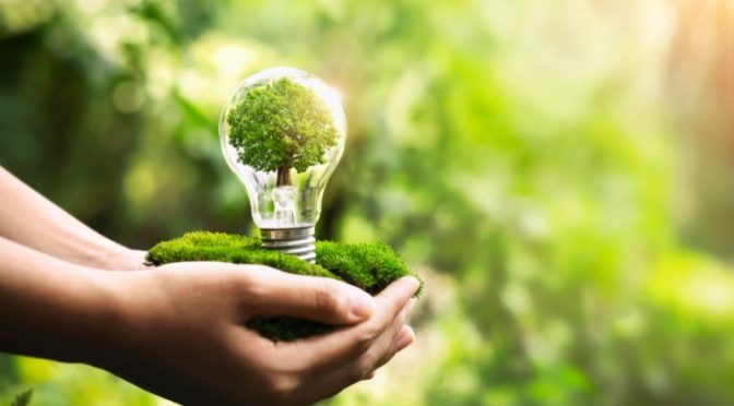 Eco-Friendly Lighting: The Growing Demand in Thailand